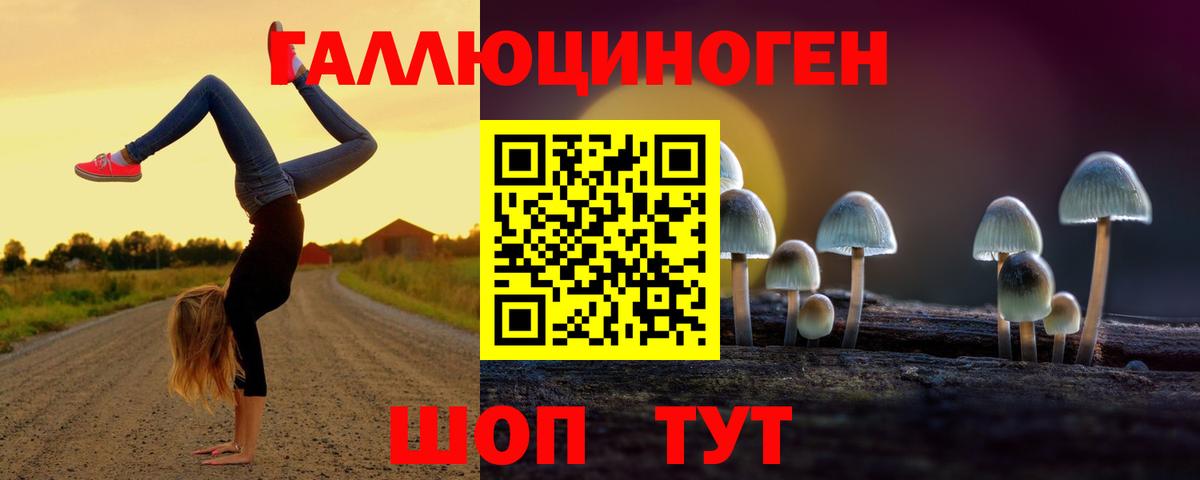 сколько стоит  Галлюциногенные грибы Magic Shrooms  Вход с VPN  Псилоцибиновые грибы GOLDEN TEACHER  Вязники 